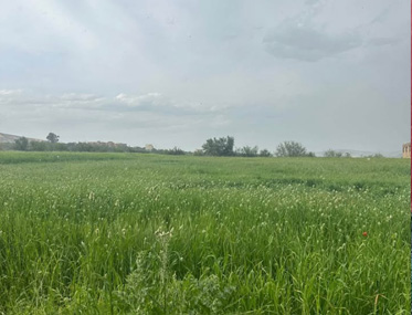 Ferme agricole à vendre